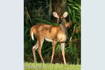 32801 US Hwy 441 N #Lot 28, Okeechobee, FL 34972 - Photo 108