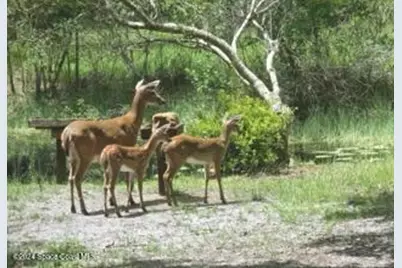 32801 US Hwy 441 N #Lot 28, Okeechobee, FL 34972 - Photo 120