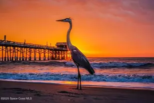 299 Chandler St, Cape Canaveral, FL 32920 - Photo 2