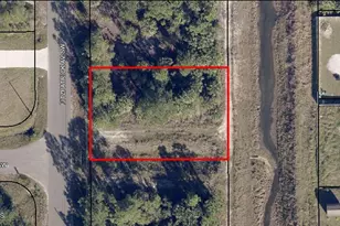 3211 Fitzpatrick Ave SW, Palm Bay, FL 32908 - Photo 1