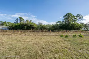 2357 Hagoplan Ave SW, Palm Bay, FL 32908 - Photo 60