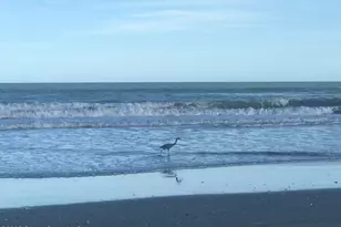 2100 N Atlantic Ave, Cocoa Beach, FL 32931 - Photo 24