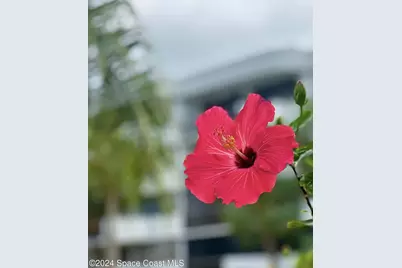 300 Columbia Drive #1103, Cape Canaveral, FL 32920 - Photo 38