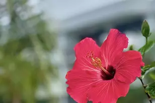 300 Columbia Dr, Cape Canaveral, FL 32920 - Photo 38