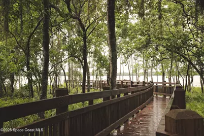 3607 Clay Brick Road, Harmony, FL 34773 - Photo 68