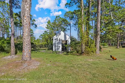 6885 Orchid Tree Drive, Grant-Valkaria, FL 32949 - Photo 34