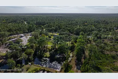 6885 Orchid Tree Drive, Grant-Valkaria, FL 32949 - Photo 50
