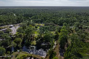 6885 Orchid Tree Dr, Grant-Valkaria, FL 32949 - Photo 50