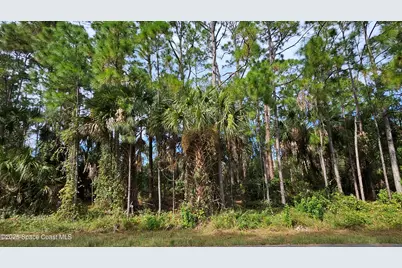 817 Reading Street SE, Palm Bay, FL 32909 - Photo 1