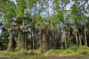 817 Reading St SE, Palm Bay, FL 32909 - Photo 1