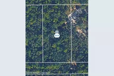 120 Buckskin Drive E, Florahome, FL 32140 - Photo 1