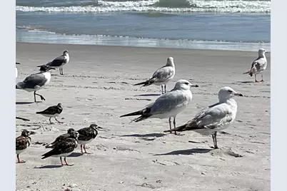 714 Davidson Street SE, Palm Bay, FL 32909 - Photo 36