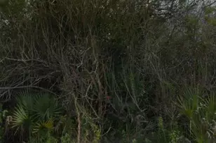 765 Pinta Terrace SW, Palm Bay, FL 32908 - Photo 1