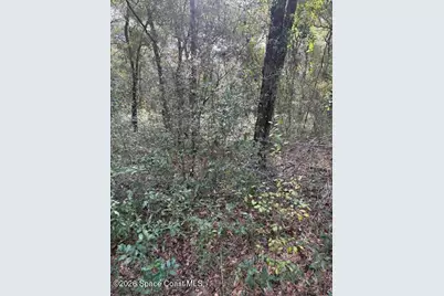 3588 E Bellshire Place, Inverness, FL 34452 - Photo 4