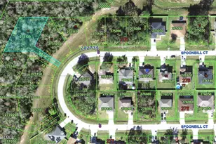 0-0000 Spoonbill Ct, Poinciana, FL 34759 - Photo 1