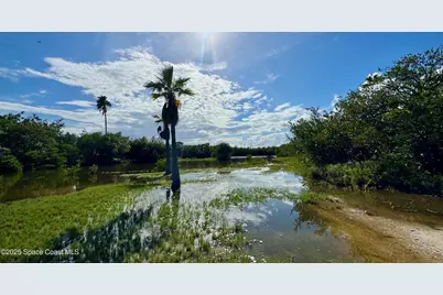 335 Newfound Harbor Drive, Merritt Island, FL 32952 - Photo 26