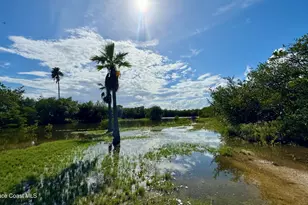 335 Newfound Harbor Dr, Merritt Island, FL 32952 - Photo 26