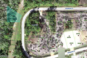 000 Sparrow Ct, Poinciana, FL 34759 - Photo 1