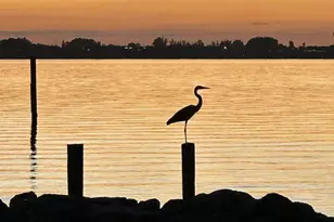 254 Seaview St, Melbourne Beach, FL 32951 - Photo 52