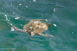 1948 Barkley Ave, Melbourne, FL 32935 - Photo 60