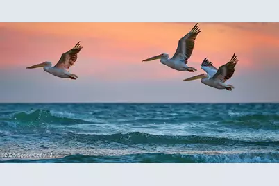 1948 Barkley Avenue, Melbourne, FL 32935 - Photo 58