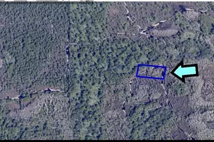 None Unknown, Grant-Valkaria, FL 32949 - Photo 1