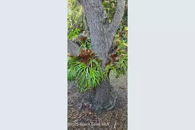 6235 Treetop Drive, Melbourne Beach, FL 32951 - Photo 20