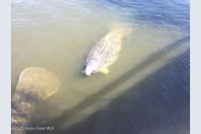 8074 Windover Way, Titusville, FL 32780 - Photo 68