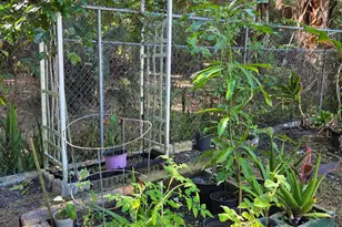 2437 Oakcrest Ln, West Melbourne, FL 32904 - Photo 36