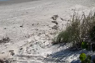 104 Jupiter Ct, Indialantic, FL 32903 - Photo 28