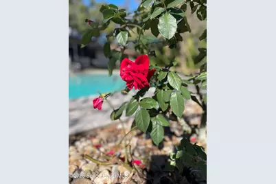 2555 State Street, Melbourne, FL 32904 - Photo 60