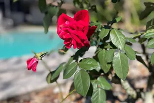 2555 State St, Melbourne, FL 32904 - Photo 60