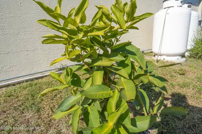 1673 Colorado Street SE, Palm Bay, FL 32909 - Photo 8