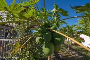 1673 Colorado St SE, Palm Bay, FL 32909 - Photo 6