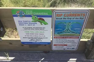 8309 Rosalind Ave, Cape Canaveral, FL 32920 - Photo 48