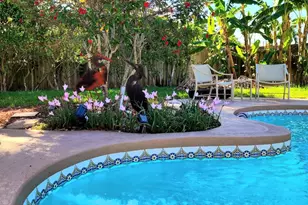 410 Hibiscus Trail, Melbourne Beach, FL 32951 - Photo 14