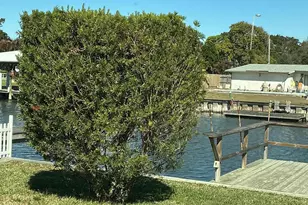 453 Capri Rd, Cocoa Beach, FL 32931 - Photo 38