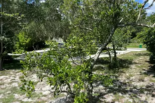 6031 Barna Ave, Titusville, FL 32780 - Photo 66