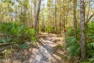 767 Badger Dr NE, Palm Bay, FL 32905 - Photo 36