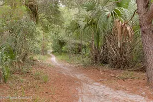 767 Badger Dr NE, Palm Bay, FL 32905 - Photo 44