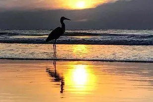 807 Mystic Dr, Cape Canaveral, FL 32920 - Photo 40