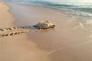 9255 Hwy A1A, Melbourne Beach, FL 32951 - Photo 32