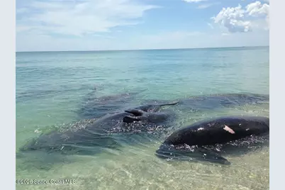 9255 Highway A1A, Melbourne Beach, FL 32951 - Photo 32