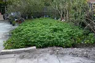 612 E Minnesota Street E, Lantana, FL 33462 - Photo 1