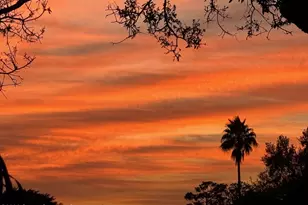 327 Myrtlewood Rd, Melbourne, FL 32940 - Photo 30