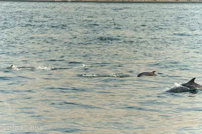 2880 S Atlantic Avenue #202, Cocoa Beach, FL 32931 - Photo 32