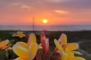 57 S Atlantic Ave, Cocoa Beach, FL 32931 - Photo 14