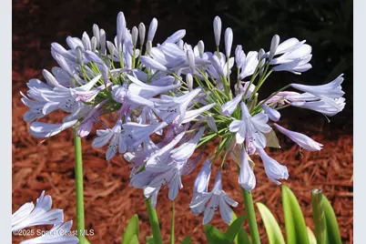 6710 Highway A1A, Melbourne Beach, FL 32951 - Photo 68