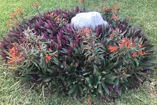 6710 Hwy A1A, Melbourne Beach, FL 32951 - Photo 70