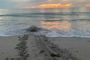 6710 Hwy A1A, Melbourne Beach, FL 32951 - Photo 72